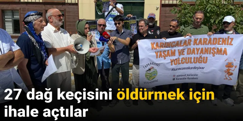27 dağ keçisini öldürmek için ihale açtılar