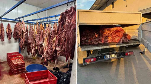 Adana'da korkunç tablo: 3 ton bozulmuş at eti ele geçirildi