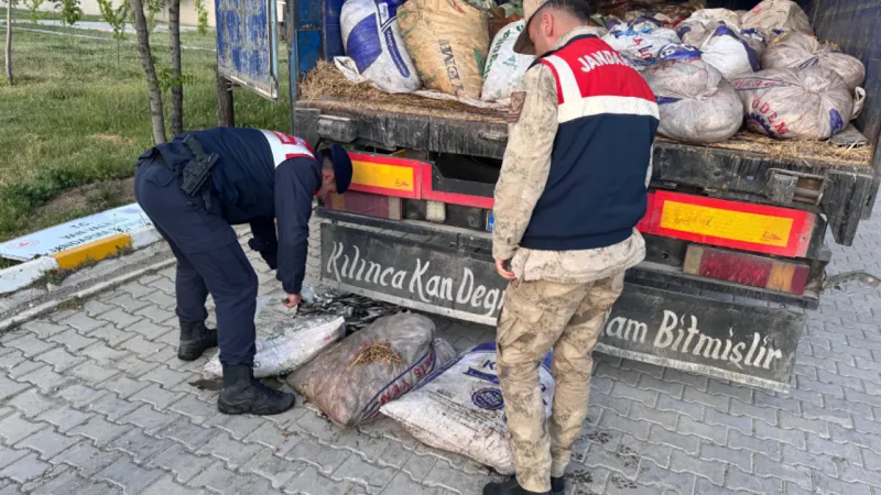 Van'da Şok! 19 Ton İnci Kefali Katliamı: Av Yasağına Rağmen!