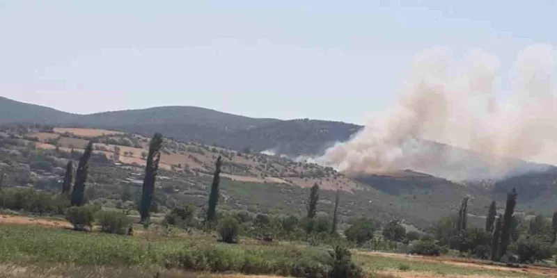 Balıkesir'de korkutan görüntü
