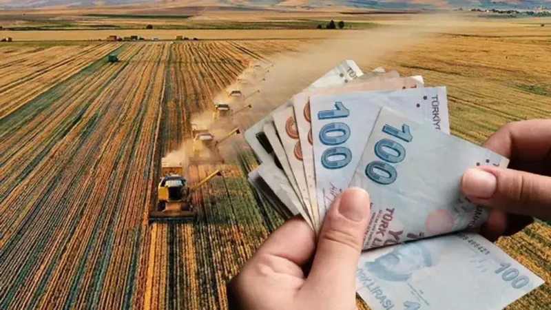 Çiftçi Destek Ödemesi Sorgulama: E-Devlet'ten Nasıl Yapılır?