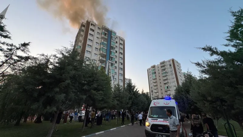 Diyarbakır Yangını: Gözaltı Sayısı Arttı! Sır Perdesi Aralanıyor Mu?