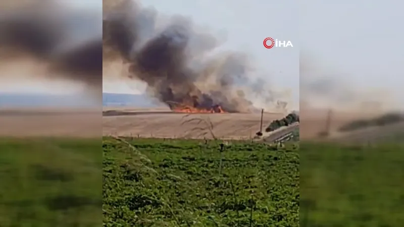 Diyarbakır'da Korkutan Yangın: Buğday Tarlaları Alevlere Teslim!