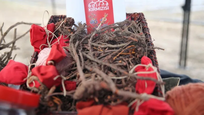 Efsane Geri Döndü! Edirne Kırmızısı'nın Sırları Çözüldü!