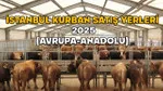 İSTANBUL KURBAN SATIŞ YERLERİ (AVRUPA-ANADOLU) 2025: İBB kurban satış alanlarından randevu nasıl alınır?