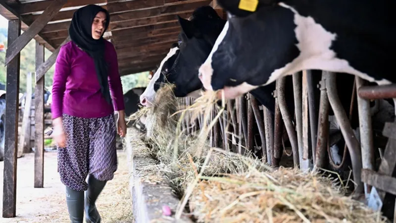 Devlet Desteğiyle Çiftlik Kurdu! Girişimci Kadının Başarı Hikayesi