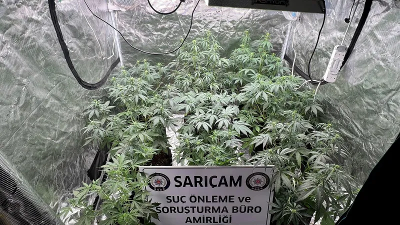 Şok! Kasten Yaralamadan Hapse Girdi, Evinde Kenevir Serası Bulundu!