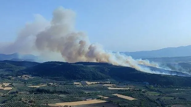 Manisa'da Korkutan Yangın! Orman Alevlere Teslim mi?