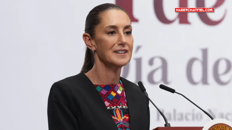 Meksika - Claudia Sheinbaum: "61 vatandaşımız ABD'de gözaltına alındı"