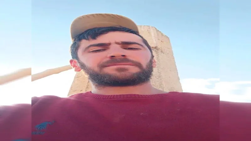 Muş'ta Yıldırım Faciası: Koyun Otlatan Çoban Hayatını Kaybetti!