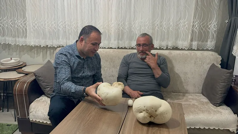 Dev Mantarlar Şoku! Aile Piknikte Ne Buldu? Görenler İnanmadı!