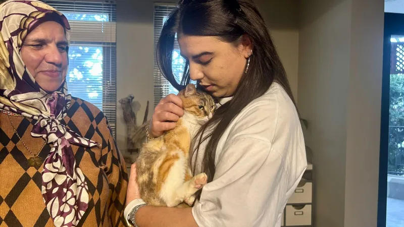 Depremzede Kedi Defne'ye 2 Yıl Sonra Mutlu Yuva!