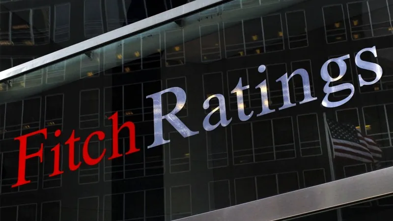 Fitch'ten Türkiye Ekonomisi Webinarı: Kredi Notu Ne Olacak?