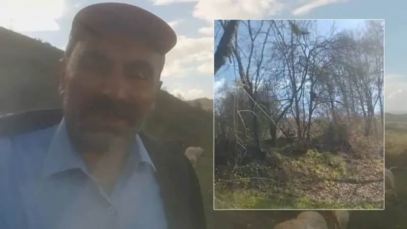 Ayı Kangallardan Korktu! Ağaca Tırmanma Anları Kamerada