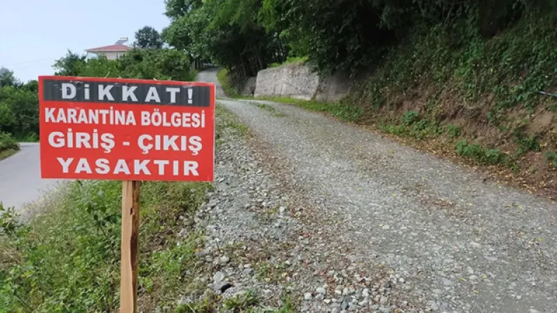 Şap Alarmı! Tosya'da Hayvan Pazarı Kapandı, Karantina Başladı!