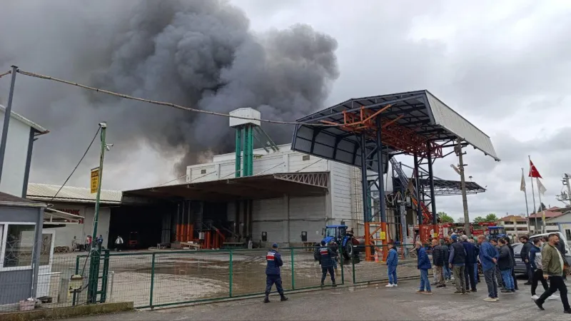 Sakarya'da Fındık Fabrikasında Korkunç Yangın! Son Durum Ne?