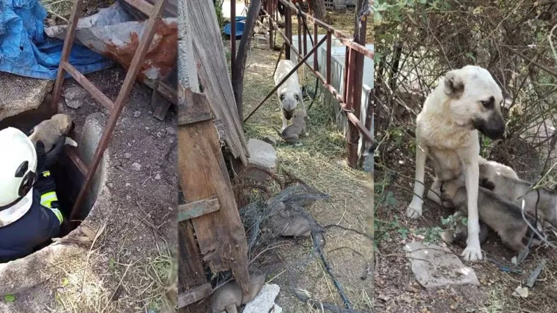 Van'da Şok Baskın! Sınırda 22 Kilo Uyuşturucu Ele Geçirildi!