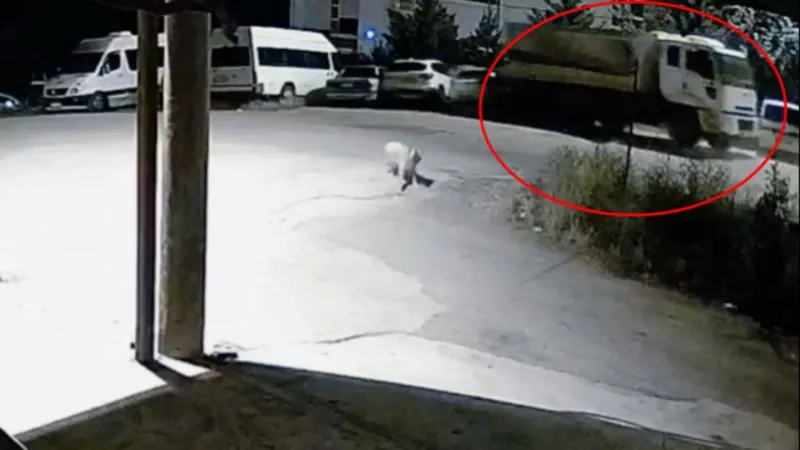 Tunceli'de Kontrolden Çıkan Kamyon Faciası! 5 Araç Pert!