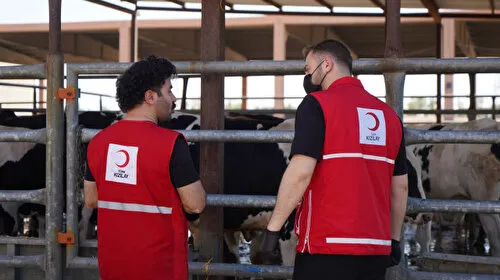 Türk Kızılay Irak'ta ihtiyaç sahibi ailelere dokuz tonluk kurbanlık et bağışlayacak
